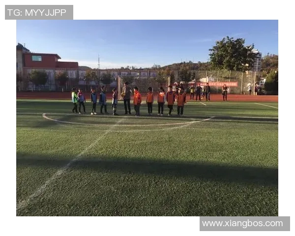 聚焦绿茵巨星独特风采塑造激情四射的个性化足球封面魅力 聚焦绿茵巨星独特风采塑造激情四射的个性化足球封面魅力