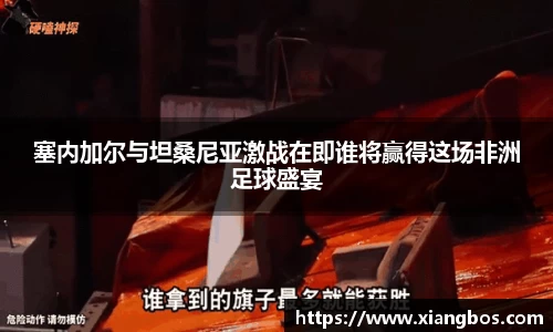 塞内加尔与坦桑尼亚激战在即谁将赢得这场非洲足球盛宴
